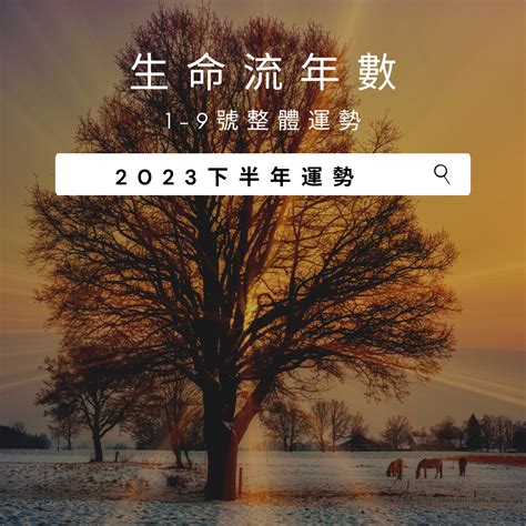 生命数字流年2023|V生命靈數／ 2023下半年【整體運勢】分析&生命流年。